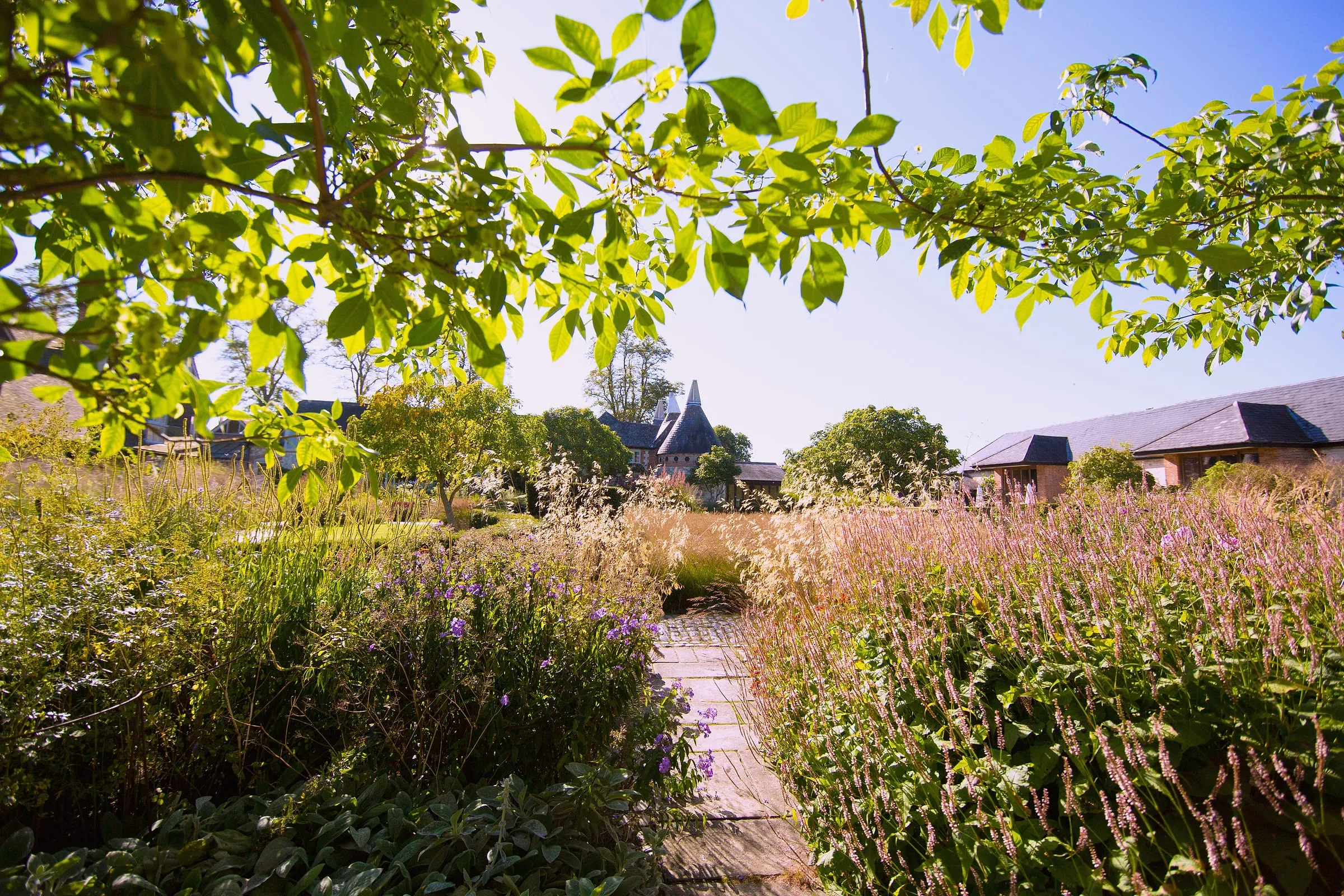 A gravel path through summer grasses and perennials under a tree, the barn roof beyond