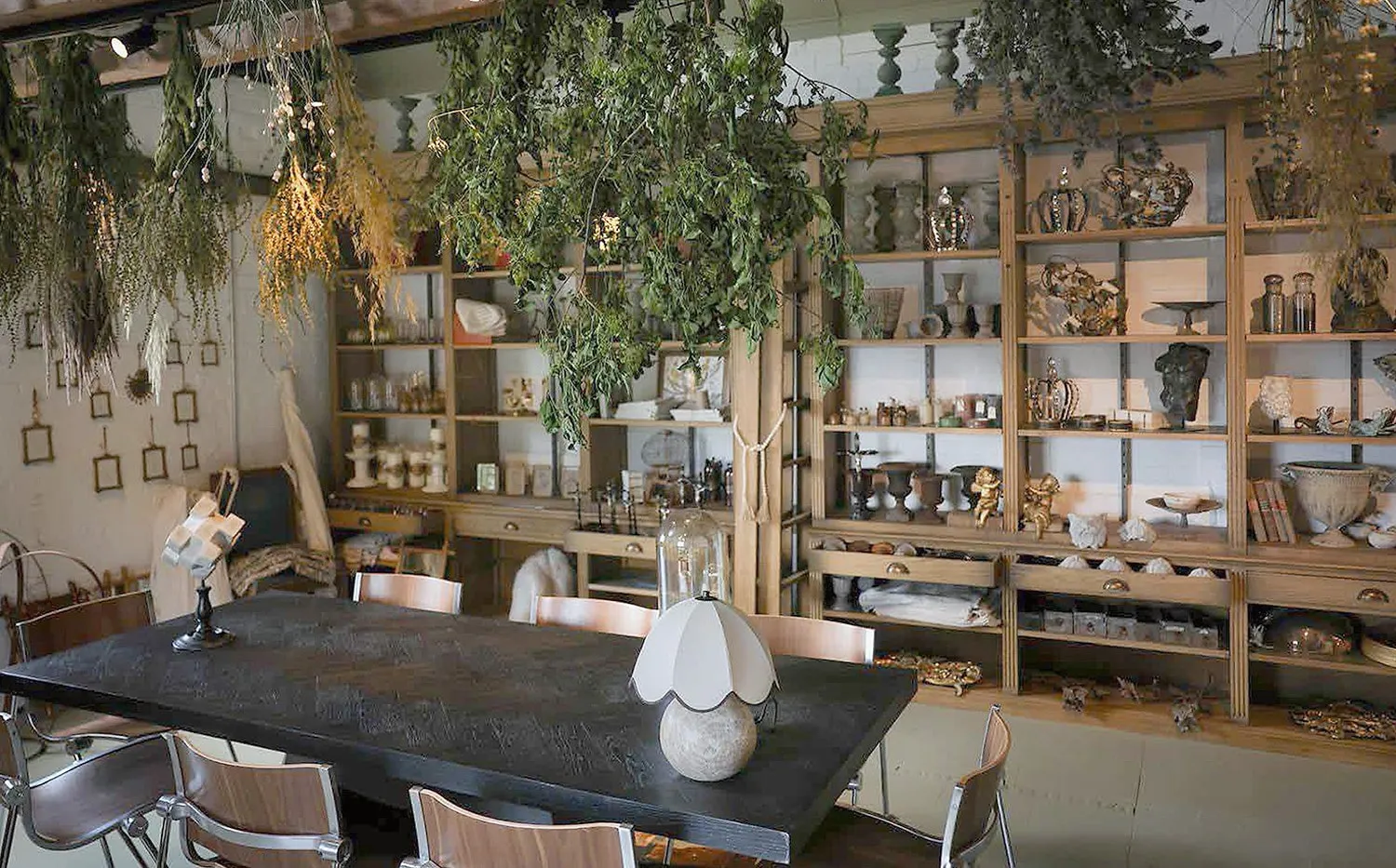 The shop's long room, with antiques on wooden shelves and plants hanging from the beams